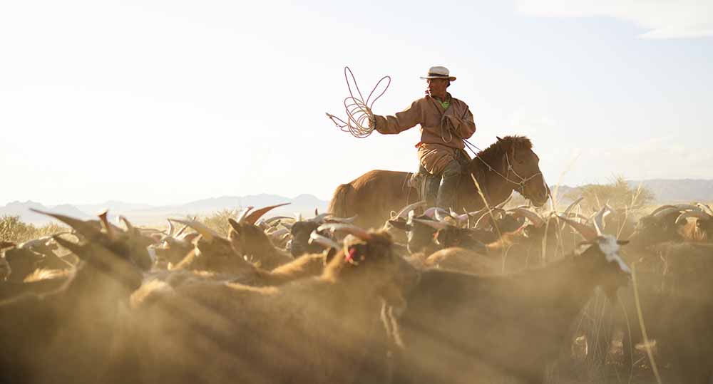 mongols horse people tradition