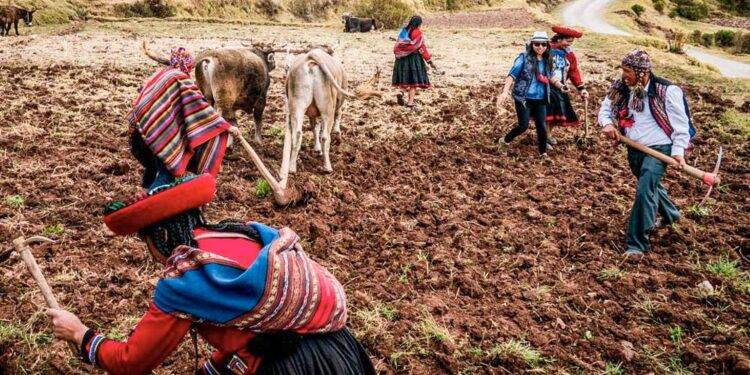 Quechua People: Living in the Andes