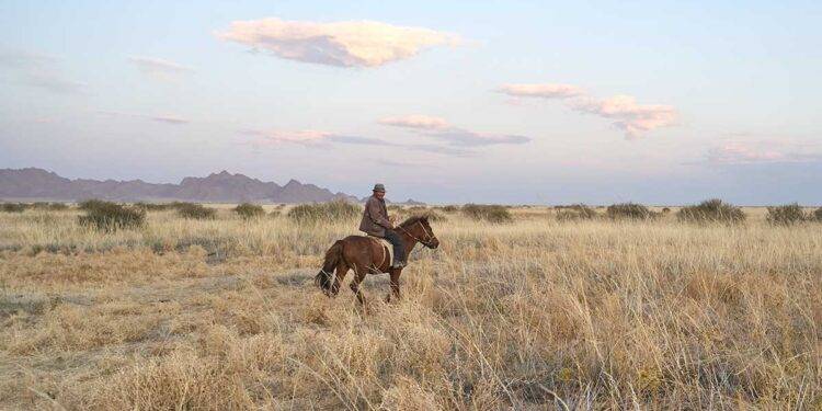 horse rider in mongolia 